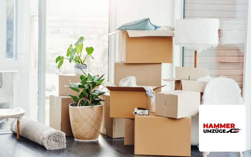 Referenz eines Umzugsunternehmens durch SEO Agentur in Berlin